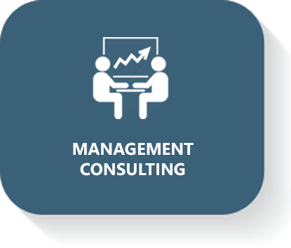 Amson Consulting